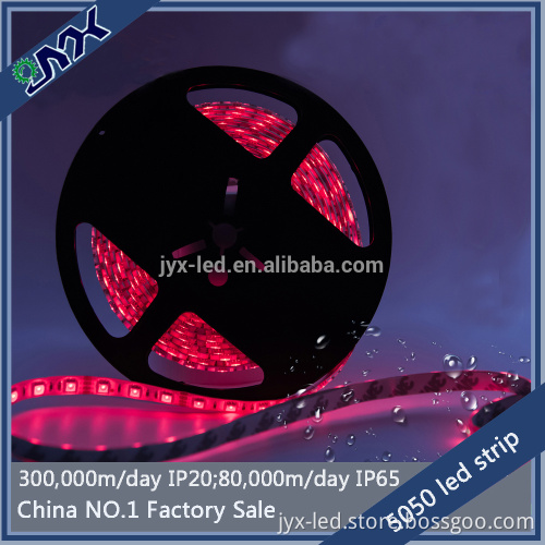24 volt led strip lighting 5050 60led/m double pcb 3 chip white /warm white /cool white /red /green /blue
